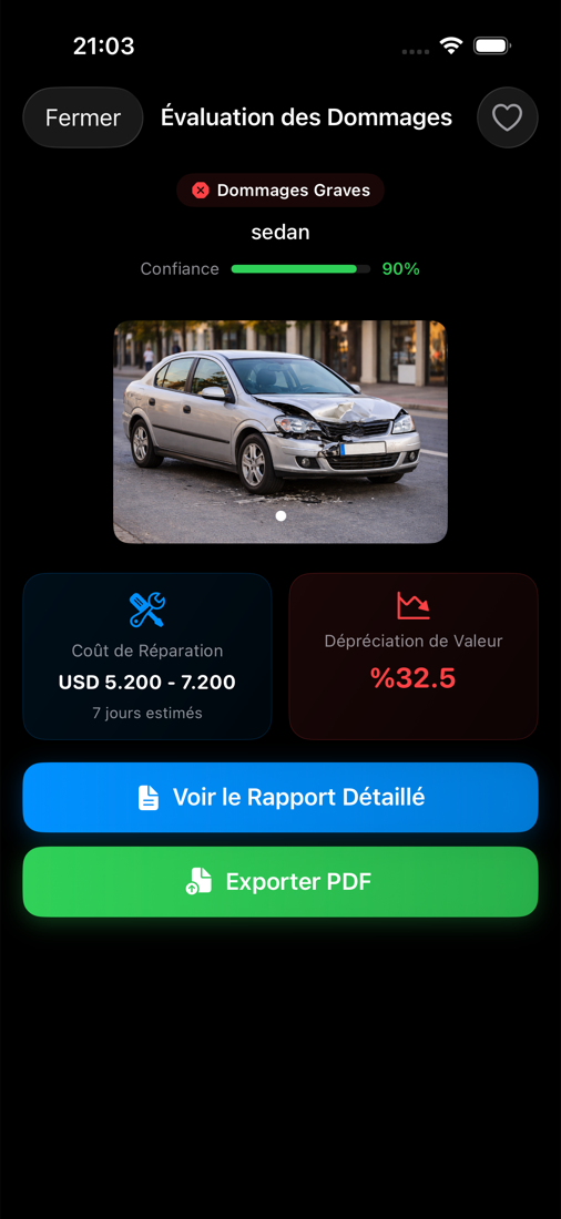 EXEMPLE DE RAPPORT DANS L’APP